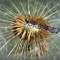 大(dà)宋少(shǎo)年志(zhì)2免费观看电(diàn)视