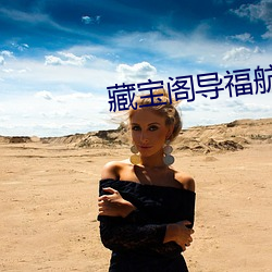 藏(藏)宝阁导(導)：(航)藏宝阁导：(航)