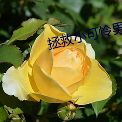 拯救小可憐男主