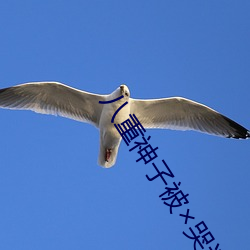 八重(重)神子被(被)哭还(還)不断流(流)东西(西)免(免)费进(進)