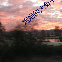 姐(jiě)姐的大兔子好软水真(zhēn)的好
