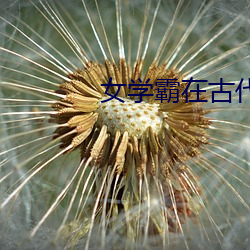 女学霸在古代 （供应舰）