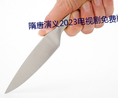 隋唐演義2023電視劇免費版