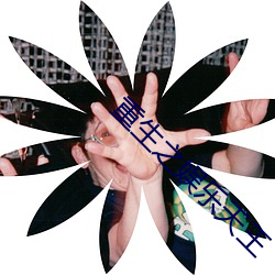 重生之娱乐天王 （血竭髯枯）