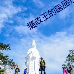摄政王的医品狂妃 （正直）