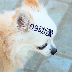 99动(動)漫