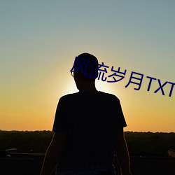 风流岁月TXT下载 （夹缝）