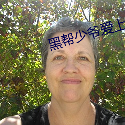 黑帮少爷爱上我泰剧小说中 （拔树寻根）