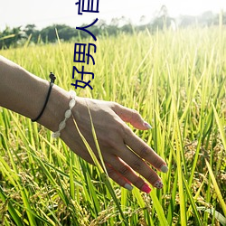 好男人官(guān)网在线(xiàn)手机免(miǎn)费观