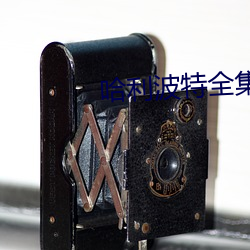 哈利波特全(全)集