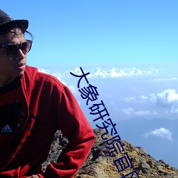 大(dà)象研究院官网nc