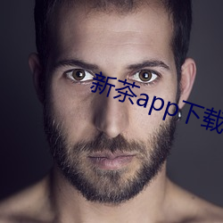 新茶app下载