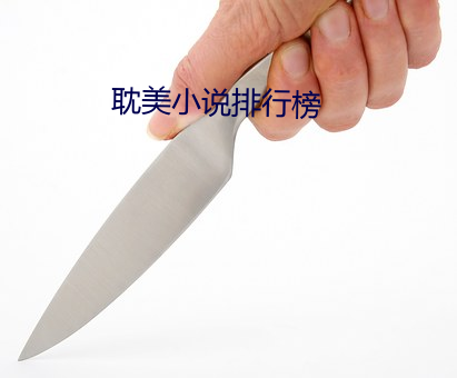 耽美小(小)说(說)排行榜