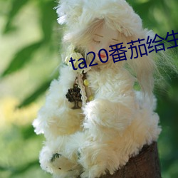 ta20番茄给生活加点色 （適情任欲）