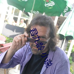 君九龄 小(小)说