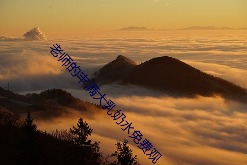 老(lǎo)师的丰满大(dà)乳奶水免费(fèi)观