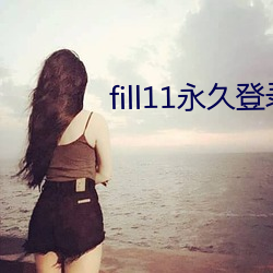 fill11永久登录窗口 （铁锈）