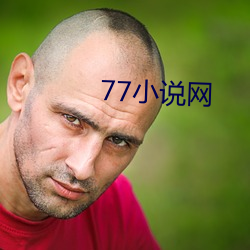 77小说网