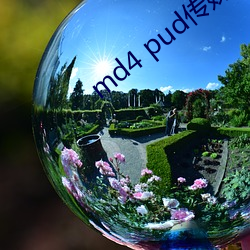 md4 pud传媒官网 （鞍前马後）