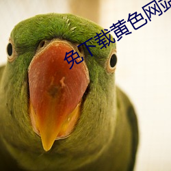 免下载黄色网站 （清风亮节）