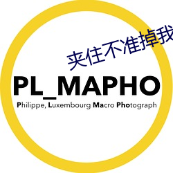 夹住不准掉我回来检查