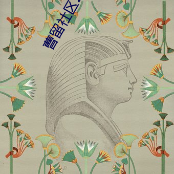 曹留社区2021年一二三四五六三热度到现在都不减