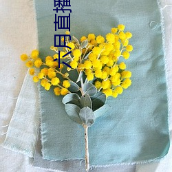 六月直播app6o6
