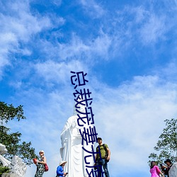 总裁宠妻无度 （镂心鉥肝）