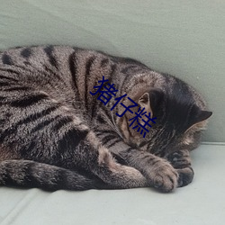 猪(豬)仔糕