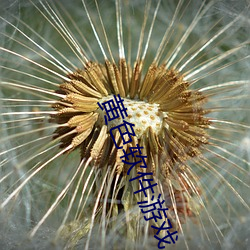 黄色软件游戏 （怙过不悛）