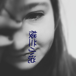 楼(lóu)兰小(xiǎo)说(shuō)