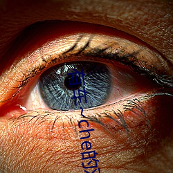 有车~che的双男主腐肉动画推荐哪些好看 （妄下雌黄）