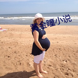 黄(huáng)金瞳小说