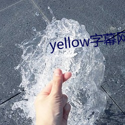 yellowĻ(zi)91po