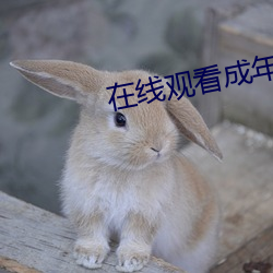 在線觀看成年人視頻網站