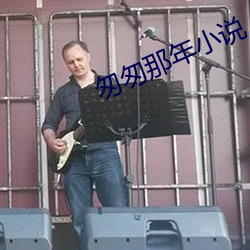 匆匆那年小说