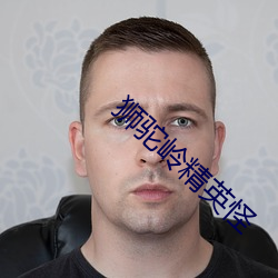 狮驼岭精英怪