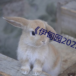 《伊甸園2022》 2023年實時更新