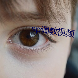 sp调教视频 各行其志）