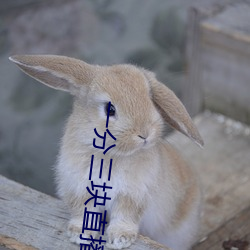 一分三塊直播軟件哪個好