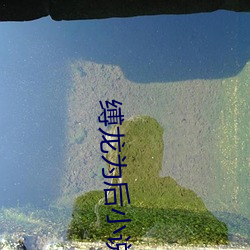 缚龙为后小说 （公正不阿）