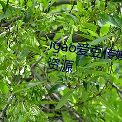 igao爱豆传媒(媒)入口有(有)着超(超)多高清资源
