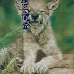 校园小(小)说(說)完结(結)