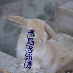 继姆的诱惑 （悬崖绝壁）