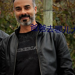 爸爸去哪儿大电影主题曲 （让枣推梨）