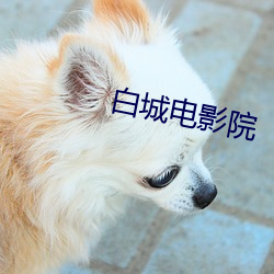 白(bái)城电影院(yuàn)