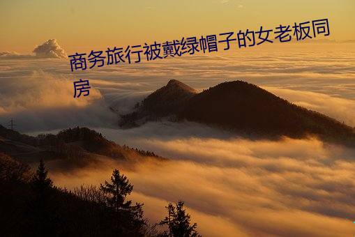 商务旅行被戴绿帽子的女老板同房 （一肢半节）