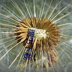 图书(shū)下载(zài)