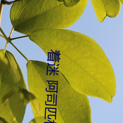 着(zhe)迷 阿(ā)司匹(pǐ)林(lín)