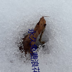 永(yǒng)久免费浪(làng)花直播下(xià)载(zài)应用